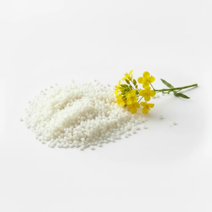 Rapswachs