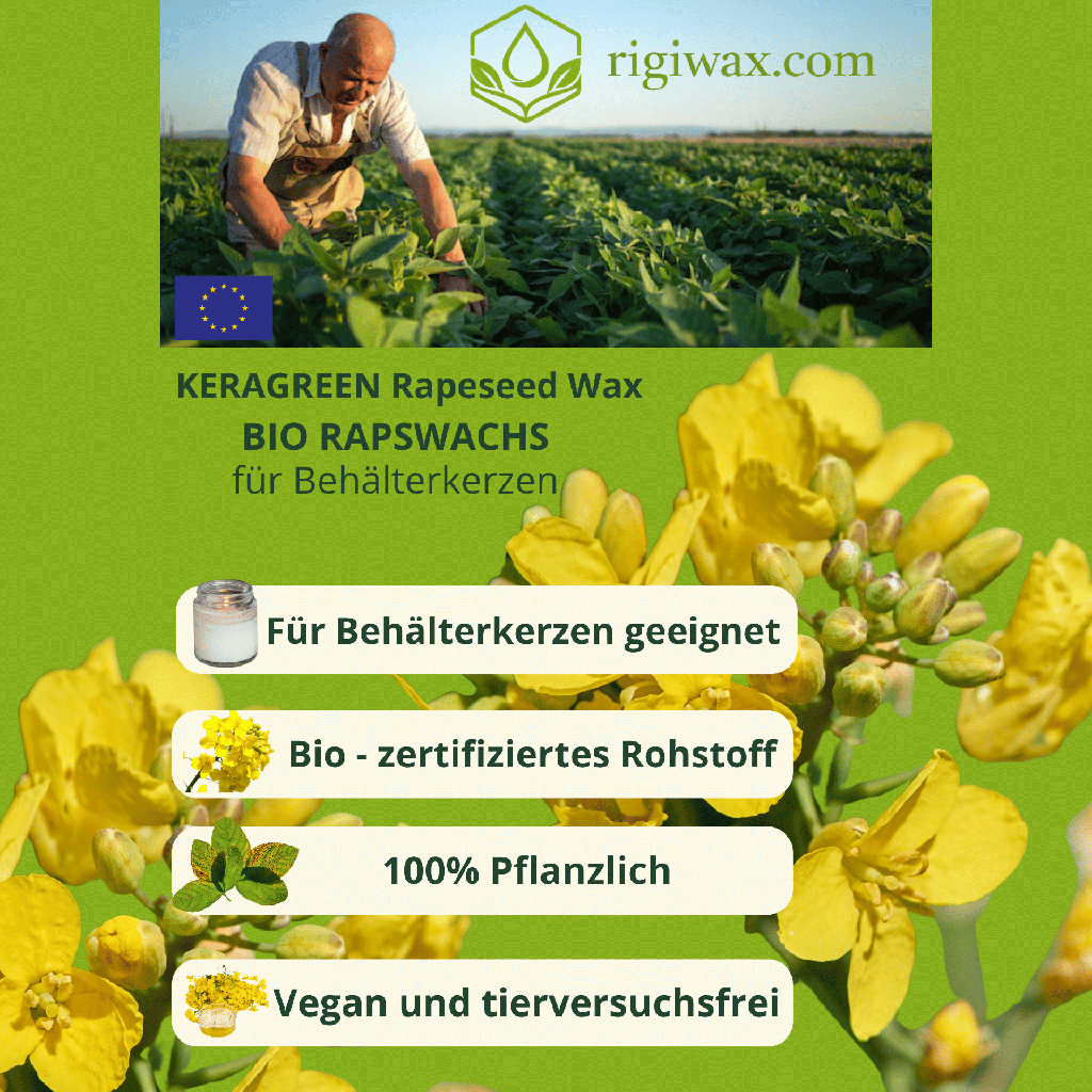 Bio Rapswachs für Behälterkerzen Keragreen 3.png