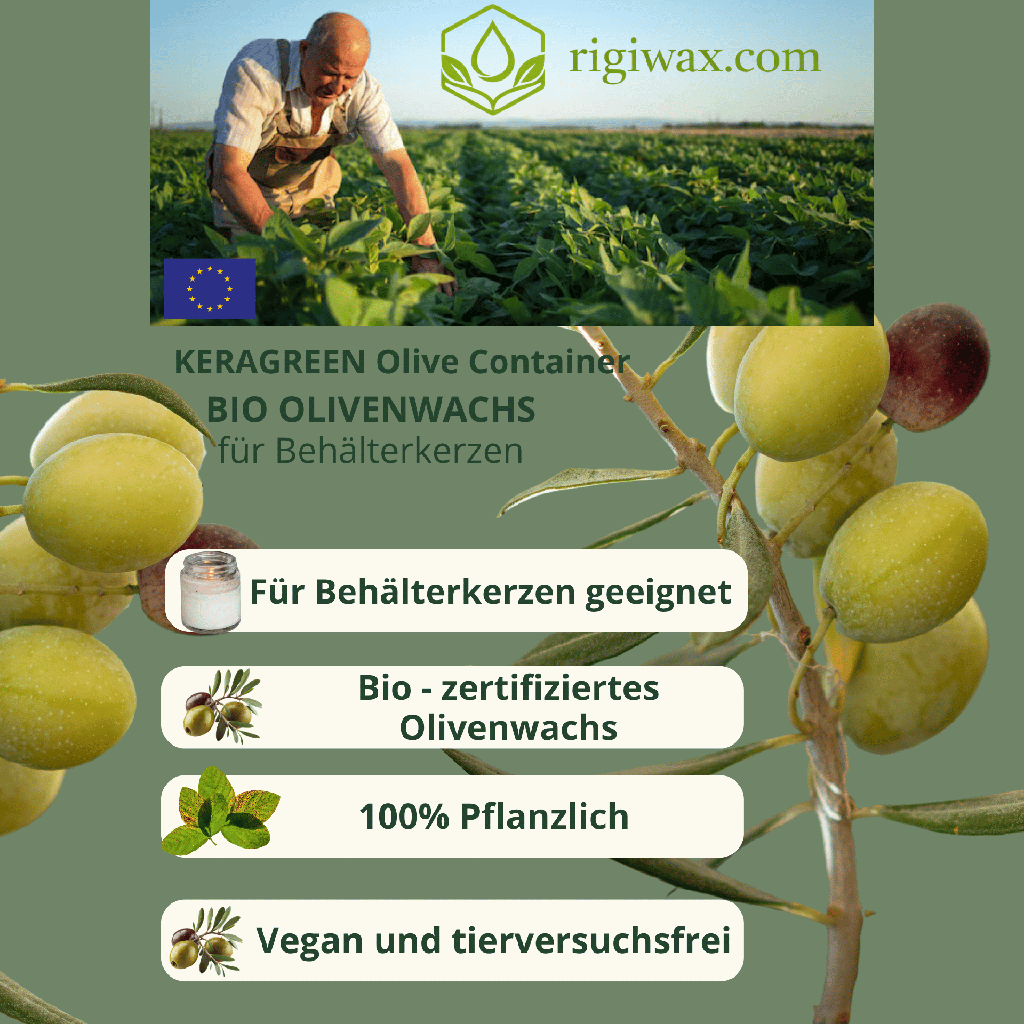 Bio Olivenwachs für Behälterkerzen Keragreen olive 3.png