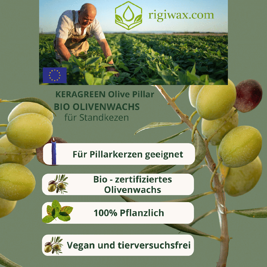 Olivenwachs für standkerzen Keragreen olive pillar 3.png