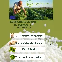 Bio Sojawachs Behälterwachs.webp