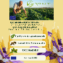 Bio Gelbes Bienenwachs für Kerzen und Naturkosmetik 3.png