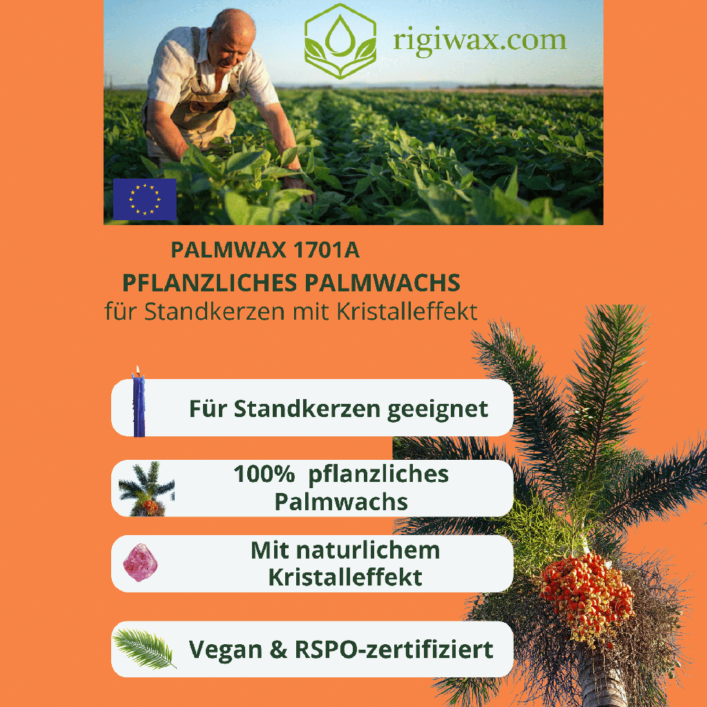 Bio Palmwachs für Standkerzen mit Kristalleffekt-Palm wax 1701A 3.png