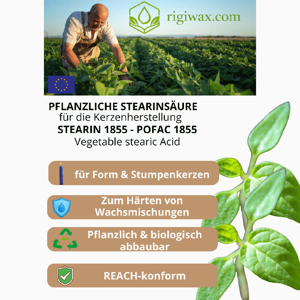 Bio Stearinwachs für Standkerzen Keranature Mold Blend 3.png