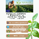 Bio Stearinwachs für Standkerzen Keranature Mold Blend 3.png